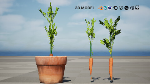 3D Carrot Plant