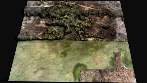 forest ground grass bushes area drone photogrammetry