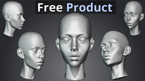 Free Female Head 3D Sculpt Blend + FBX files