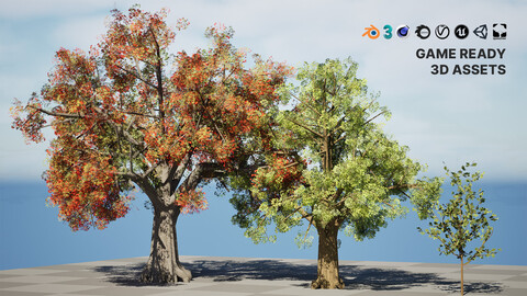 Quercus Tree Pack