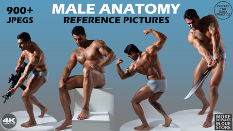 Male Anatomy - Photo Reference Package For Artist - 930 JPEGs - noAI