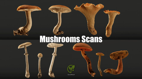 Realistic Mushrooms Scans Package