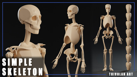 3D Simplified Skeleton for Artists