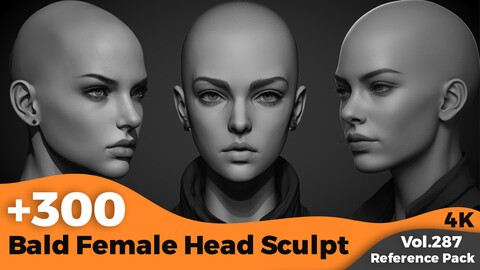 +300 Bald Female Head Sculpt(4k)