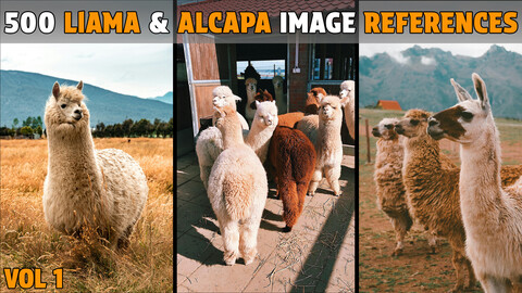 500 Llama and Alcapa Photo References  - Vol 1