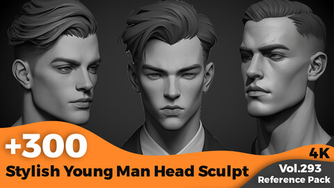 +300 Stylish Young Man Head Sculpt References Images(4k)