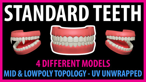 Standard Teeth - Stylized and Realistic teeth for Animaions - Games - VFX - 4 Different Teeth with Mid & Lowpoly Topology