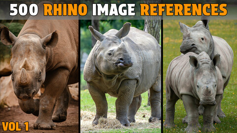 500 Rhino Photo Reference - Vol 1