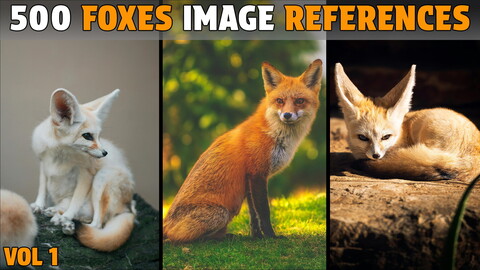 500 Foxes Photo Reference - Vol 1