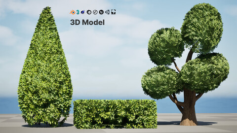 Juniper & Bush 3D Model