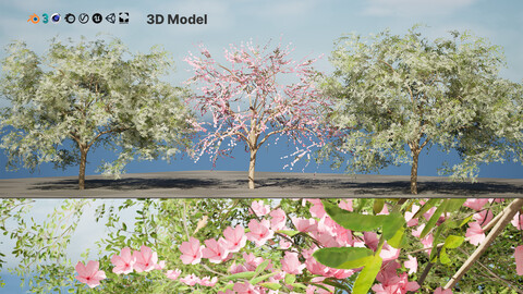 Game-Ready Almond Tree 3D Model with Free Tutorial