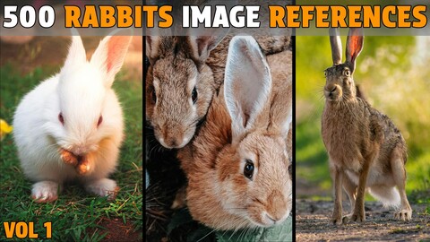 500 Rabbits Photo Reference - Vol 1