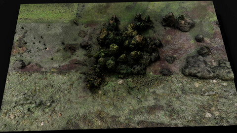 forest ground trees field area1 aerial dronescan