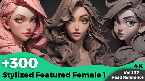 +300 Stylized Featured Female 1 Head Sculpt Reference Images(4k)