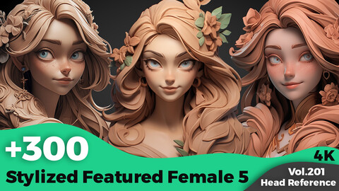 +300 Stylized Featured Female 5 Head Sculpt Reference Images(4k)