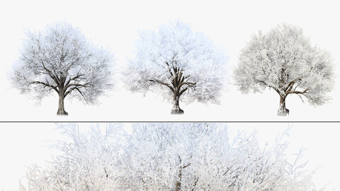 Frozen Tree for Winter Scenes with Free Tutorial