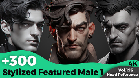 +300 Stylized Featured Male 1 Head Sculpt Reference Images(4k)