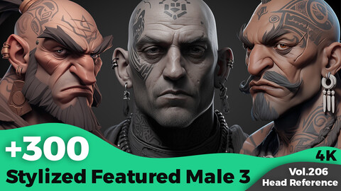 +300 Stylized Featured Male 3 Head Sculpt Reference Images(4k)