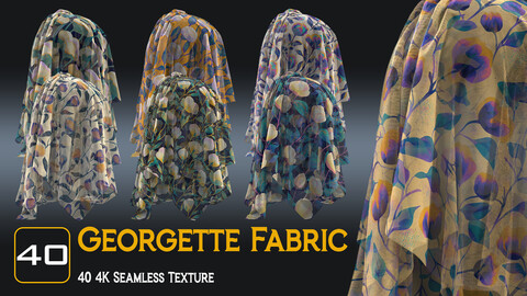 40 Georgette Fabric (Vol. 02)