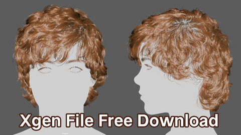 Neutral Curly Hair.Xgen Free Download