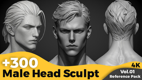 +300 Male Head Sculpt Reference Images(4k)