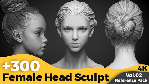 +300 Female Head Sculpt Reference Images(4k)