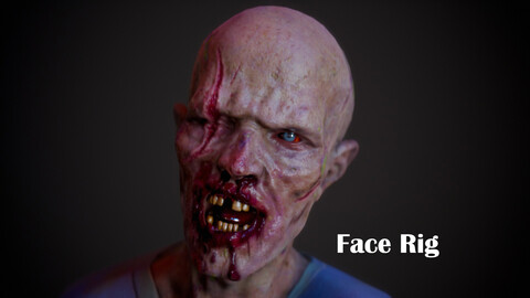 Realistic Zombie 01