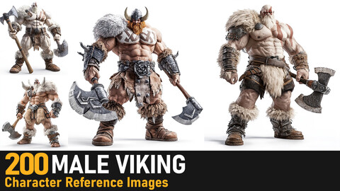 Male Viking |4K Reference Images