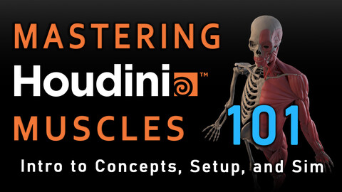 Mastering Houdini Muscles: 101 Introduction to Concepts, Setup, and Simulation