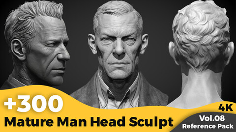 +300 Mature Man Head Sculpt Reference Images(4k)