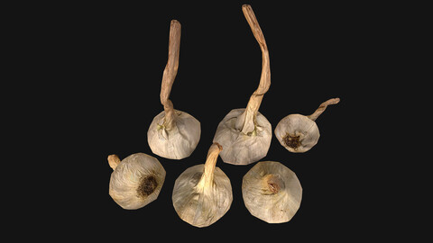 Garlic