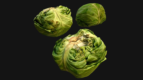 Cabbage