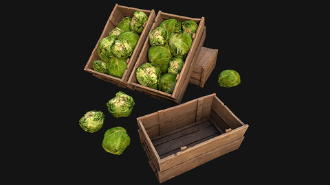 Cabbage Box Crate Stand