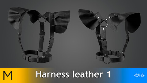 Harness leather 1