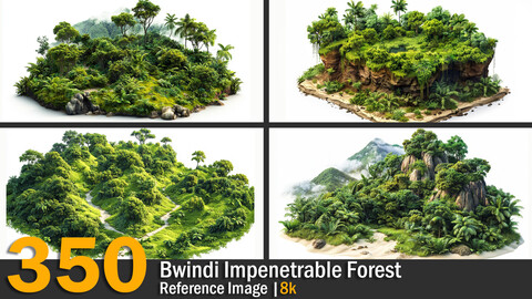 Bwindi Impenetrable Forest | Reference Images | 8K