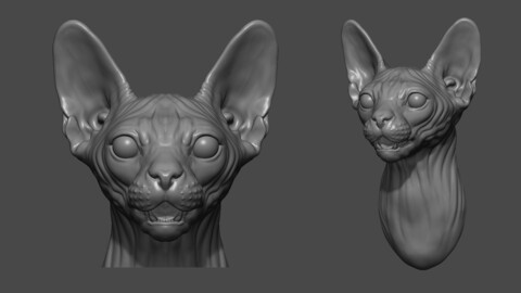 Sphinx cat head