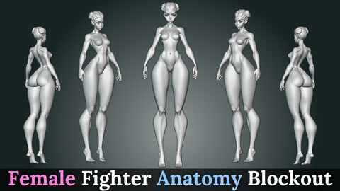 Stylized Asian Female Fighter Anatomy Blockout