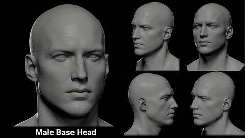 Male Base Head