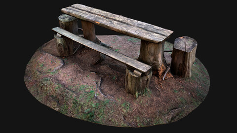 Wooden Table Bench Stump resting place in the Forest