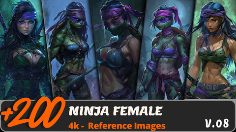 NINJA FEMALE VOL. 08/ 4K/ Reference Image