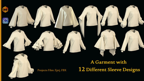 A Garment with 12 Different Sleeve Designs