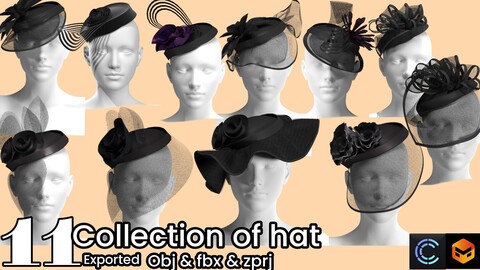 collection of hat ,This file includes high-quality, detailed designed for use in game development, animation, and virtual reality projects