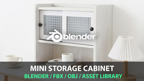 Mini Storage Cabinet