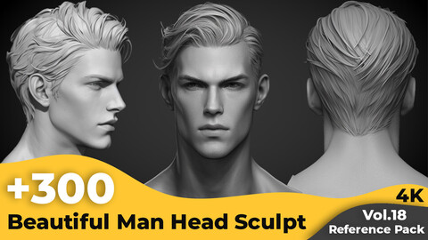 +300 Beautiful Man Head Sculpt Reference Images(4k)