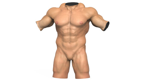 Muscular Man Torso + 3D Print Ready