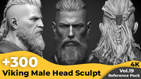 +300 Viking Male Head Sculpt Reference Images(4k)