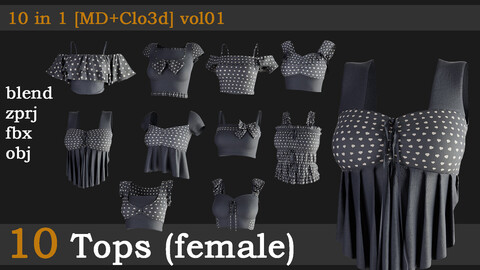 10 Tops(female)[fbx+obj+zprj+blend][md+clo]vol01