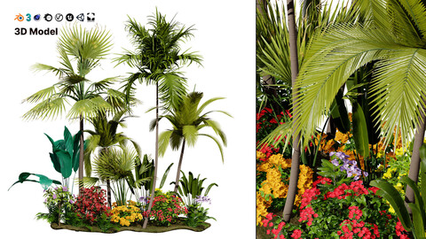 Tropical Island Plant Collection 3D Model