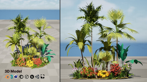 Tropical Island Plant Collection 3D Model