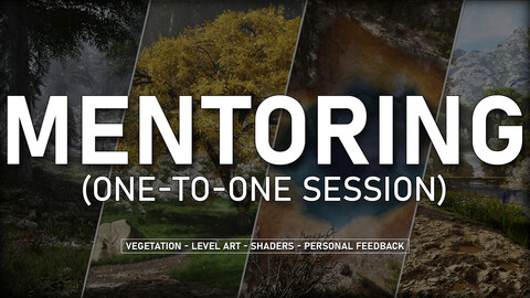 Mentoring - One-to-one Session